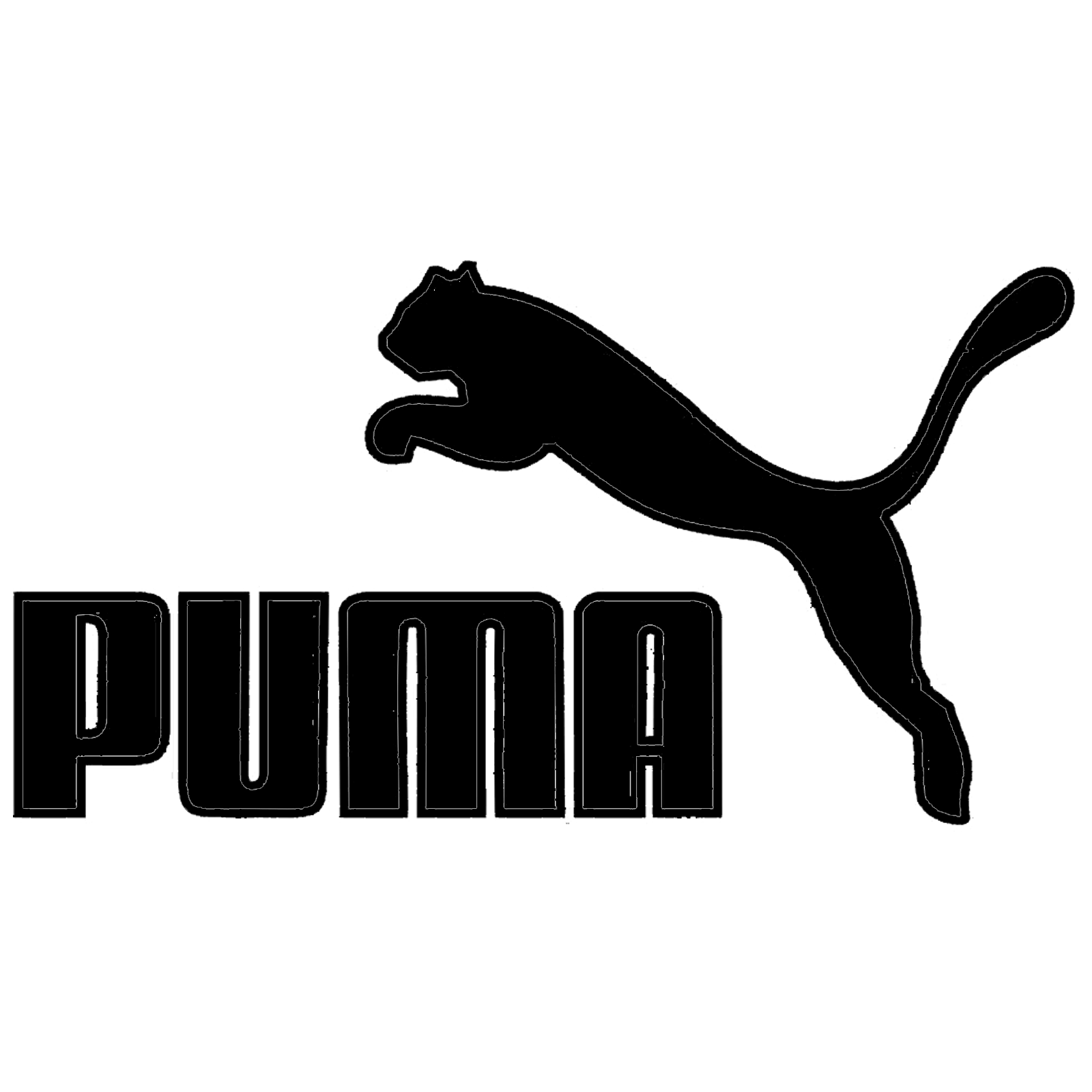 Puma Safety