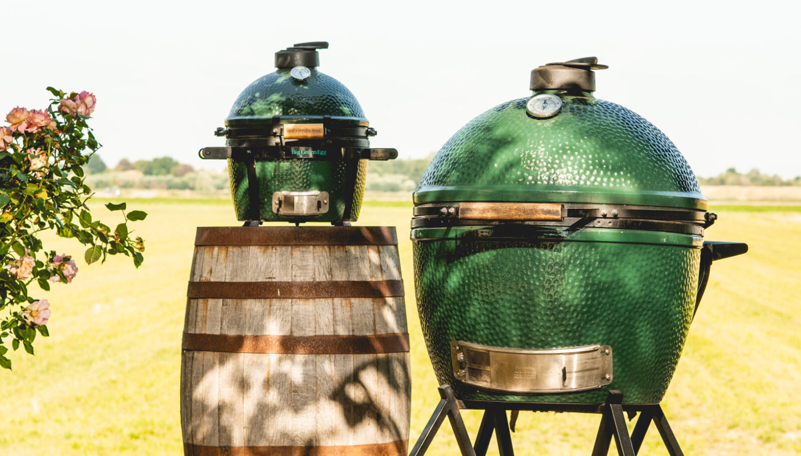 Kamado Barbecue The Big Green Egg